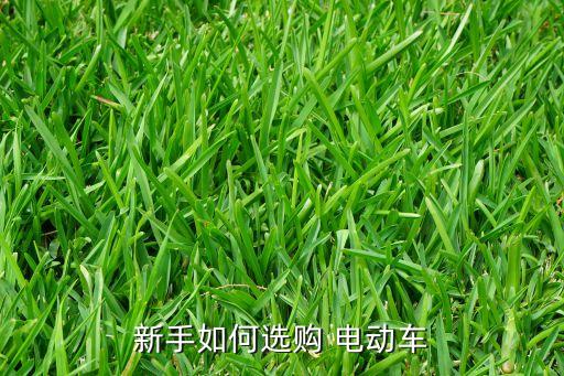 怎么購電動車,1元購電動車是真的嗎...